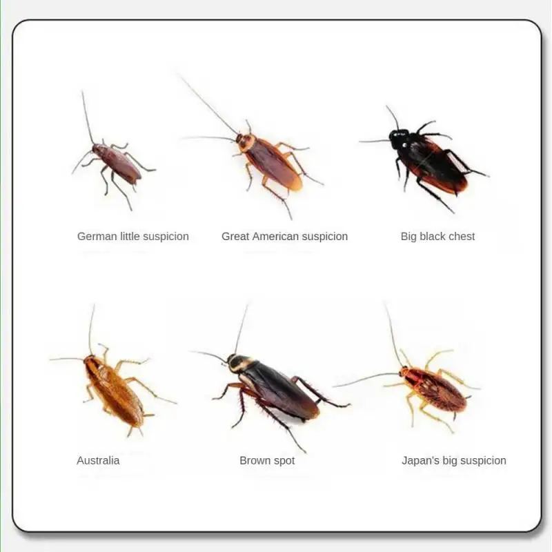 Strong Cockroach Killing Gel Bait Clear Cockroach Medicine Whole Nest End House Quick Kill Catcher Cockroach Killer Home Use