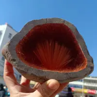 Natural Goethite Symbiotic Cluster, Quartz Crystal Energy Mineral Cluster, Mineral Reiki Healing Ore, Degaussing Decoration 2