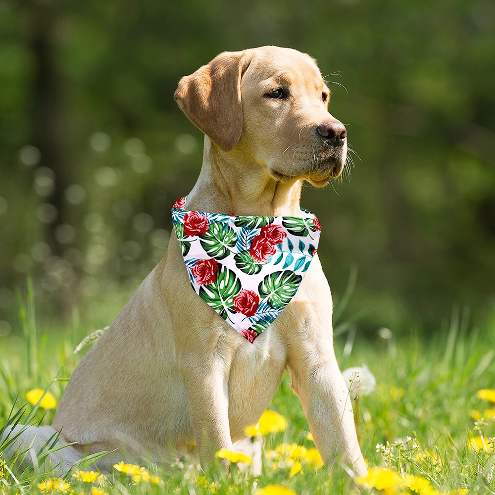 Title 24, 60/100pcs Fruit Style Dog Accessories For Dog B...