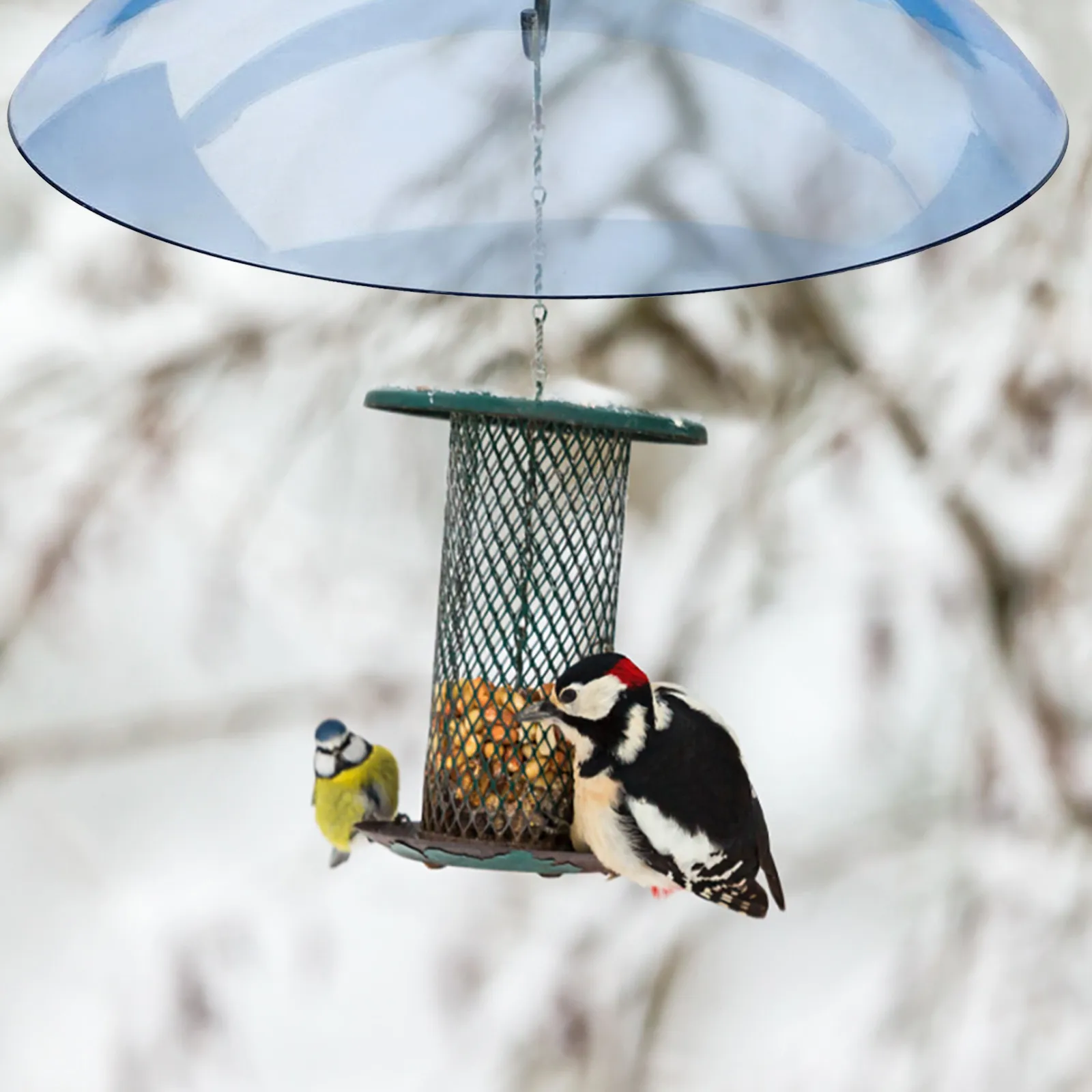 Bird Feeder Anti-Squirrel Bird Feeders Protective Cover Dome Rain Cover Hanging Feeders