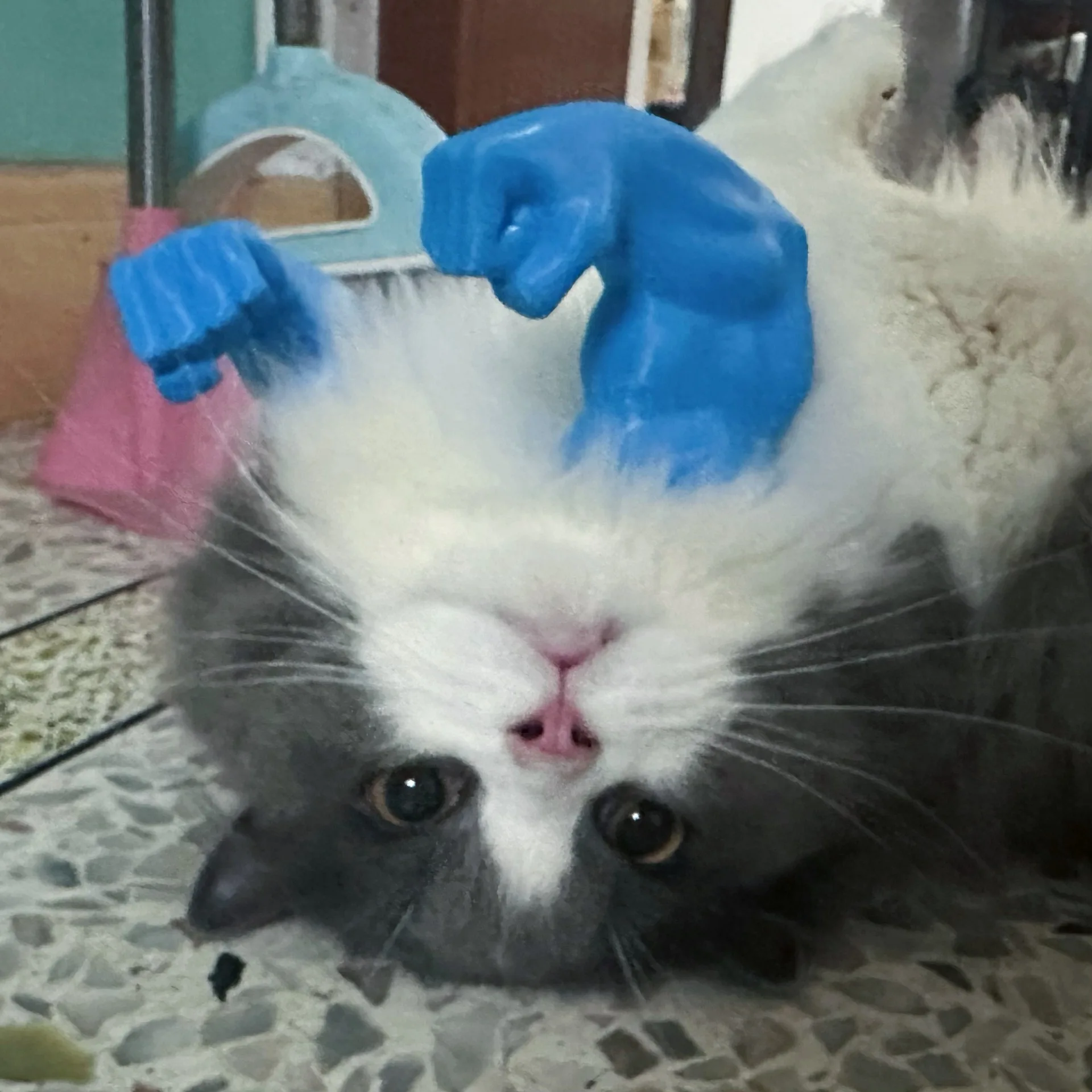Bras Musclé Pour Chat – Accessoire D’Halloween Drôle, Cosplay Imprimé 3D Léger Et Réglable Pour Animal De Compagnie - 9
