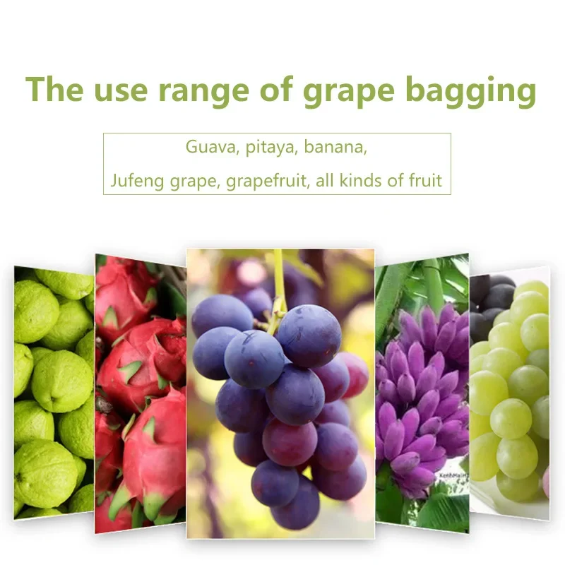 100Pcs Drawstring Style Grape Protect Bag Fruit Protection Bags Mesh Bag Against Insect Pouch Waterp Mini Greenhouse
