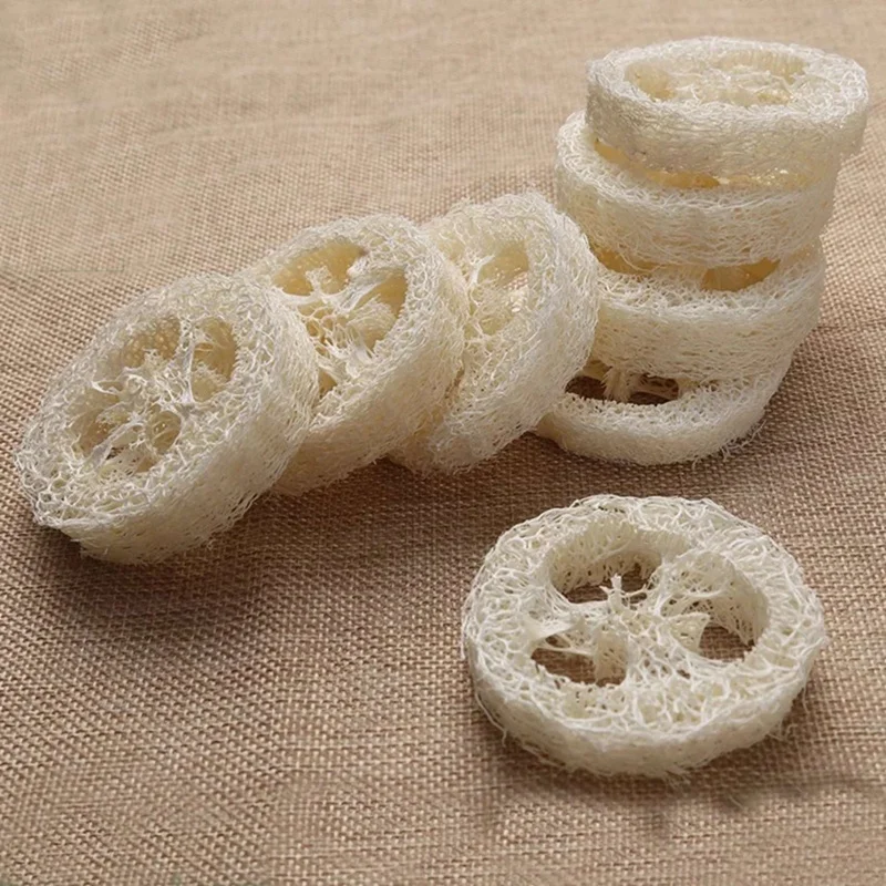 Рисунок 5 - натуральная люффа Luffa Loofa ломтики