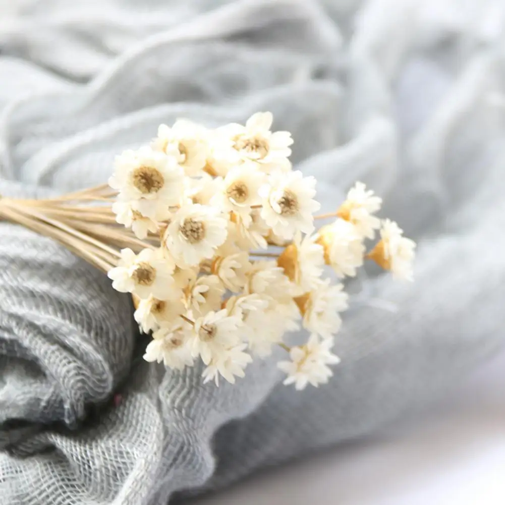 30pcs Mini Daisy Dried Flowers   Bouquet Vase For Wedding Party  Home Decor Outdoor Garden Eucalyptus Leaves Fake Plants 45cm 1