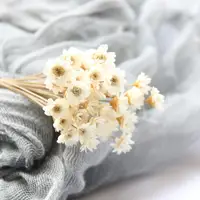 30pcs Mini Daisy Dried Flowers Bouquet Vase For Wedding Party Home Decor Outdoor Garden Eucalyptus Leaves Fake Plants 45cm 1