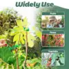 Plant Support Clips - Tomato Clips for String Trellis, Grape Vine Clips for Garden Climbing Plants Bundled Buckle Ring 6