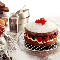 Support de refroidissement rond de 6/7/8 pouces, en acier inoxydable, cuisson à la vapeur, rôtissoire pour four, friteuse à Air, autocuiseur, poêle à gâteaux 2