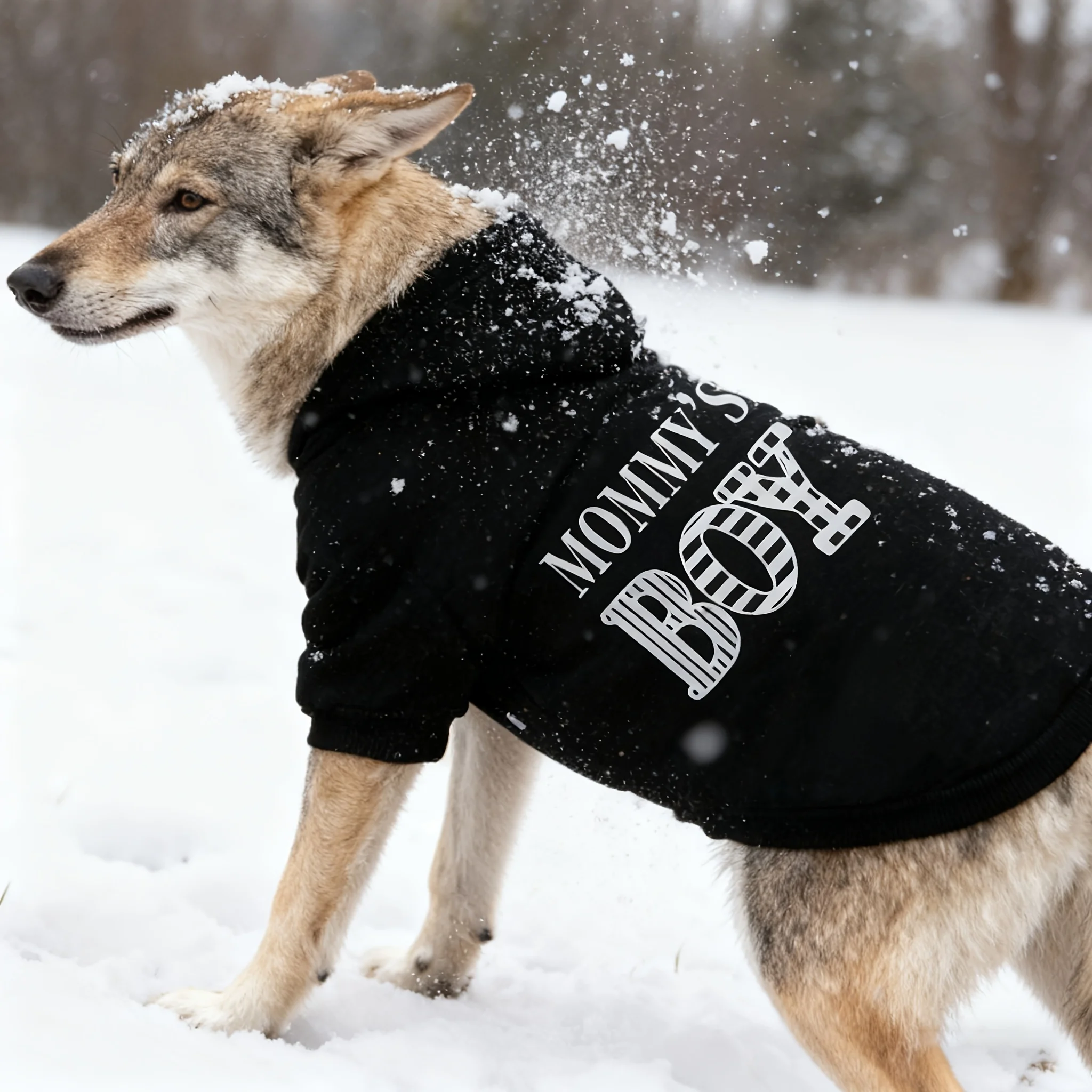 Scb89779a2ca94f07a8d5491ed8194194j