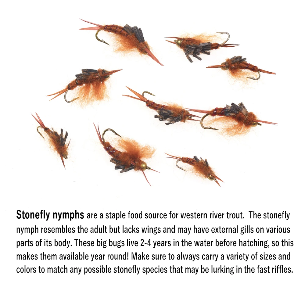 Vampfly 6pcs #12 Rainbow Brown Brook Trout Spawning Cutthroat Trout  Grayling Bull Trout Fishing Stonefly Nymphs Flies Lure - AliExpress