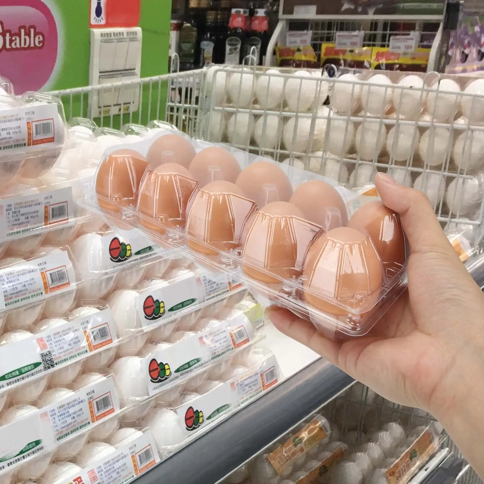 60 Pack Plastic Egg Cartons Cheap Bulk One Dozen Clear Empty Egg Cartons  For Chicken Eggs - AliExpress