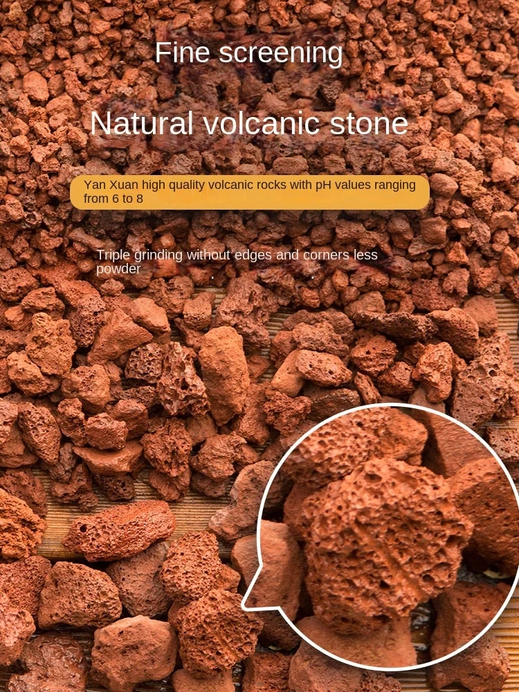 

6-12mm Firestone Granular Soil Orchid Special Soil Succulent Aquarium Household Orchid Plant Material Breathable Volcanic