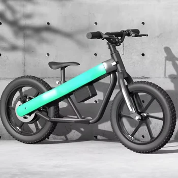 Kids Electric Bike 36V 250W/350W Optional 2