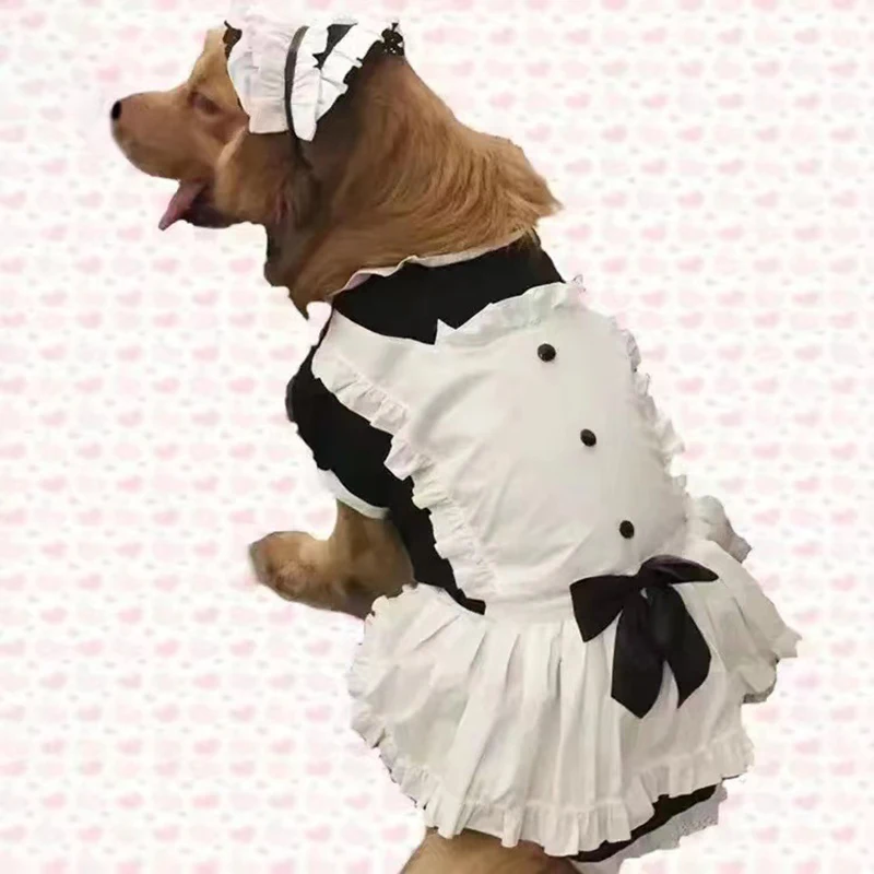 Summer Dog Dress Costume 1
