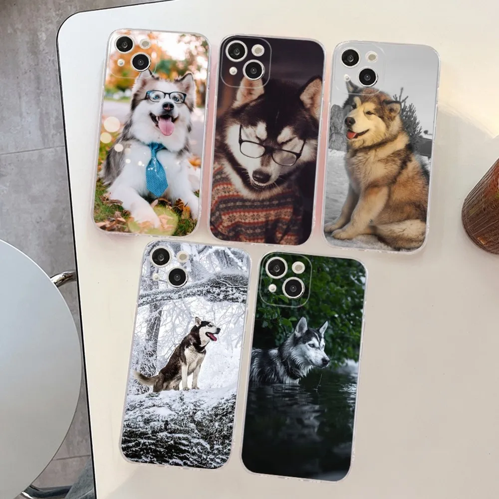 

Husky Dog Phone Case Silicone Soft for iphone 15 14 13 12 11 Pro Mini XS MAX 8 7 6 Plus X XS XR Cover