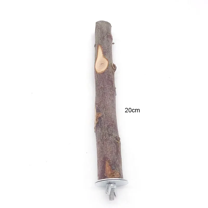 2.5cm 20cm Straight