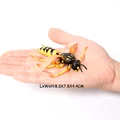Wasp