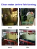 Fish tank water purification agent Water quality clarifier aquarium cleaning liquid water purification treasure sterilization 3