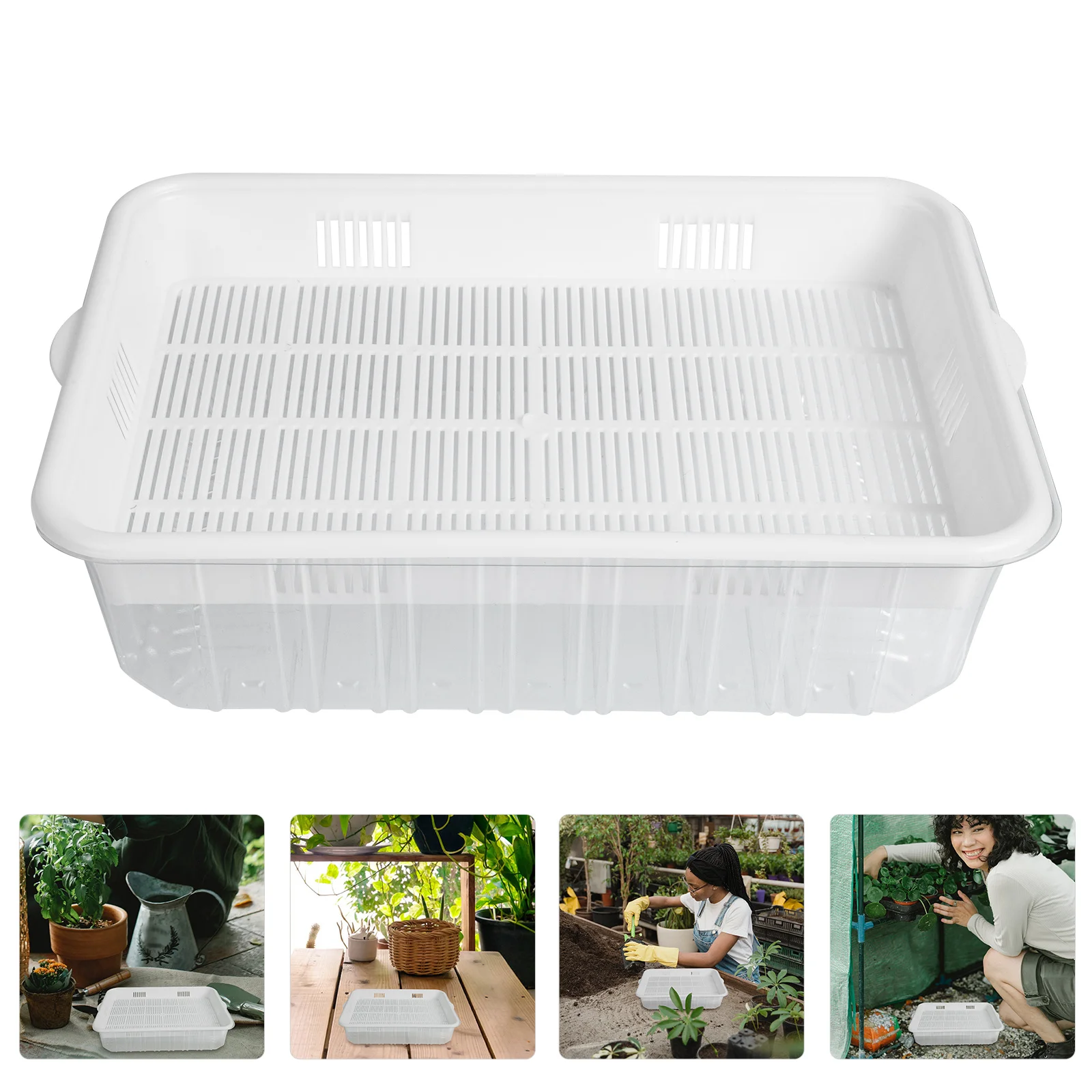 Bean Sprouts Planting Tray Veggie Trays Microgreens Growing Tray