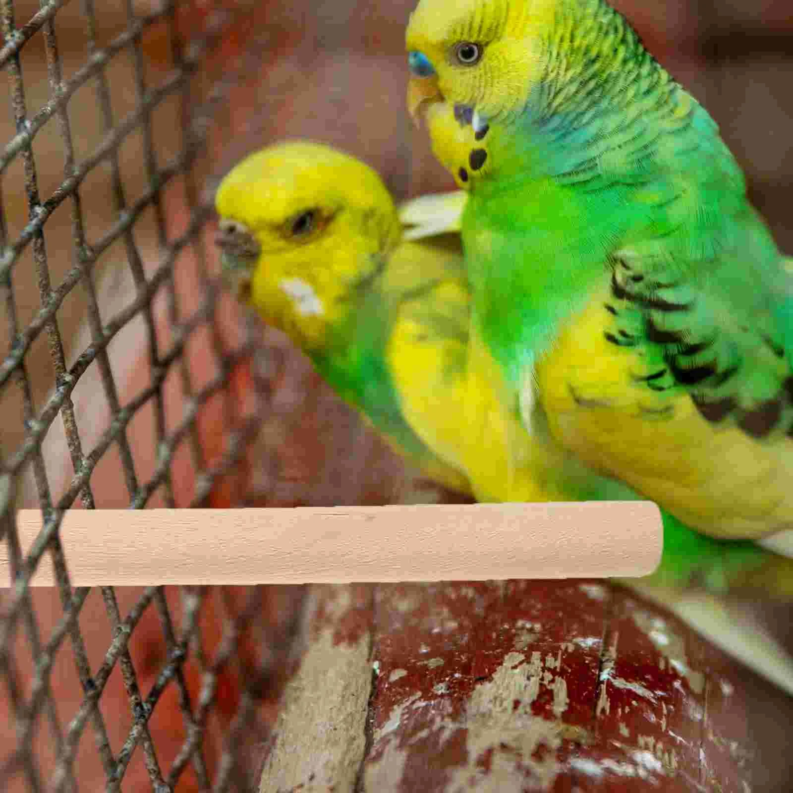 

6pcs Parrot Stand Perch Perches Bird Claw Grinding Perches Wooden Toyes
