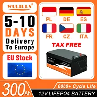 New LiFePO4 Battery 12V 100Ah 200Ah 300Ah 12.8V 24V 48V Lithium Iron Phosphate with Built-in BMS for Solar Boat Operation No Tax 1