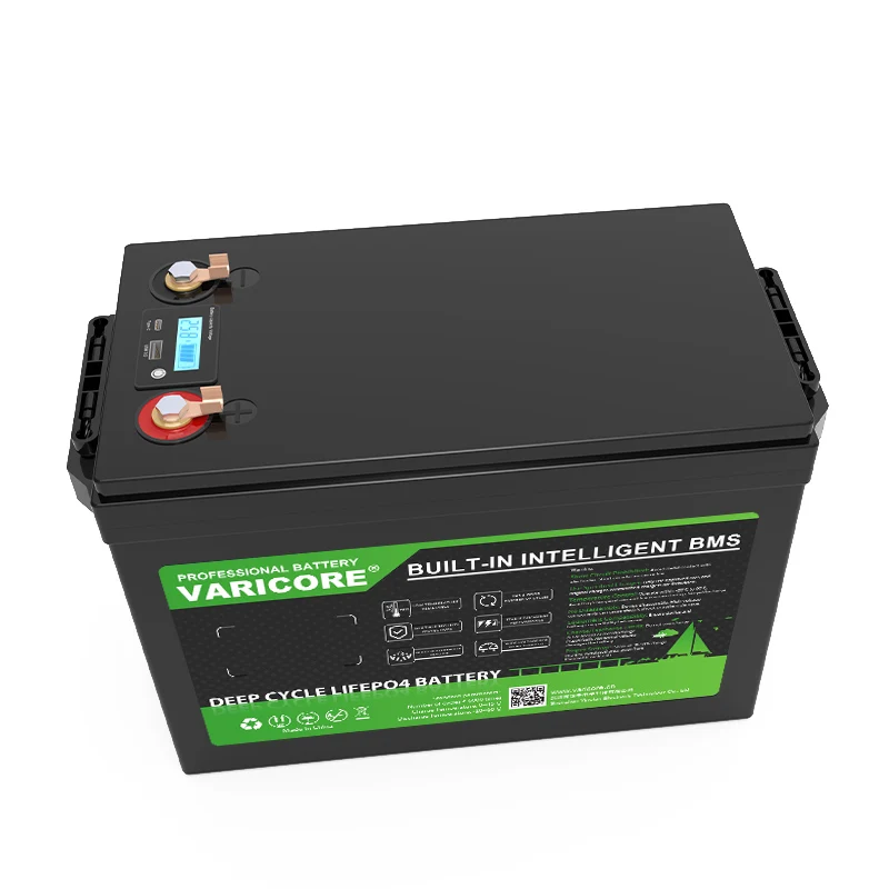 Batteria Ricaricabile al Litio LiFePO4 24V 100Ah 8s per Veicoli Elettrici, Camper, Golf Cart, Auto da Viaggio, Batterie per Accendisigari, Caricabatterie 29.2V - immagine 4