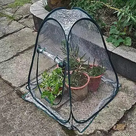 Mini Összecsukható Átlátszó Virágterem Üvegházhatású Esőálló Szigetelő Fészer Erkély Kültéri Zamatos Zöld Kapor Burkolat - Image 6