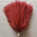 Claret