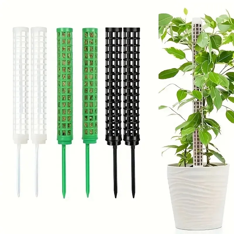 Dual Moss Plant Support Poles - Durable Indoor Plant Stakes