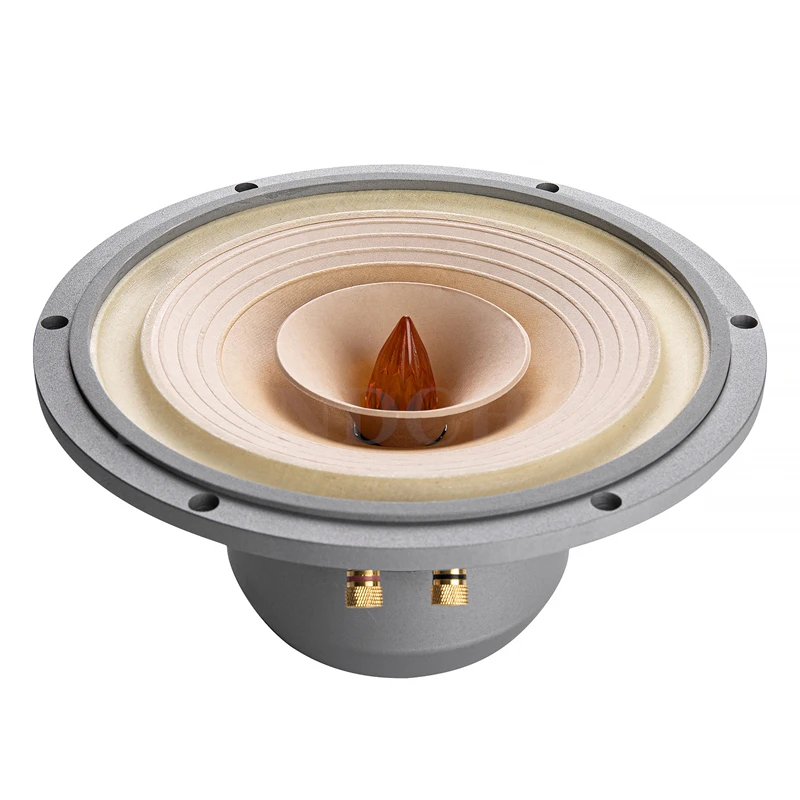 Description Picture 3 of itemLS-01 Fast-10 10 Inch Full Range Speaker 25W-50W/8Ohm/LII AUDIO FAST-10/crystal-10 FULL/crystal-10/MUSIC-10 (1 Pair)