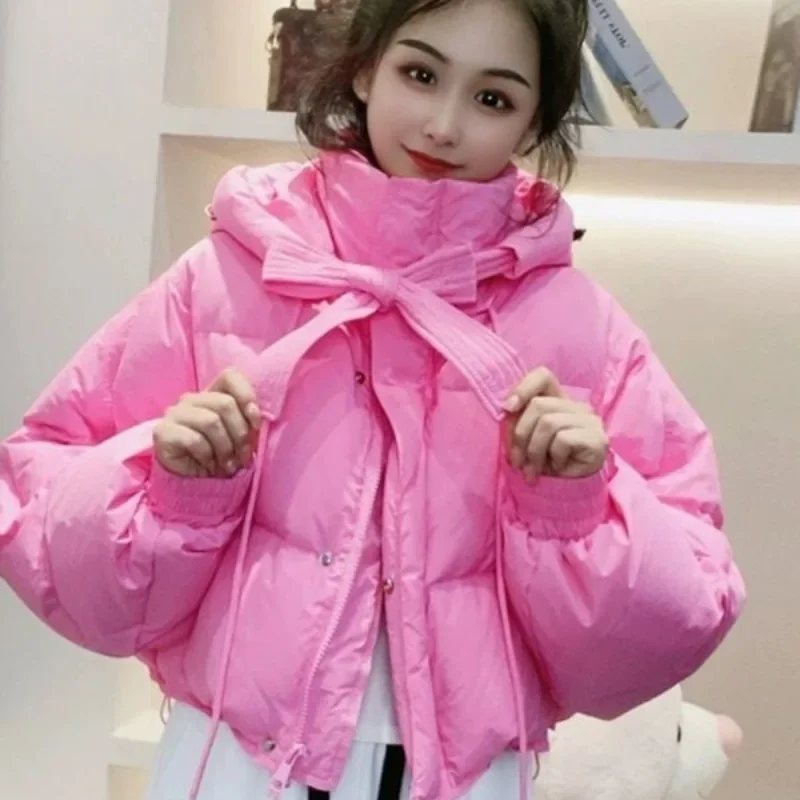 2024 New Women Down Jacket Winter Coat Female Short Parkas Given To Philandering Outwear Hooded Leisure Time Versatile Overcoat