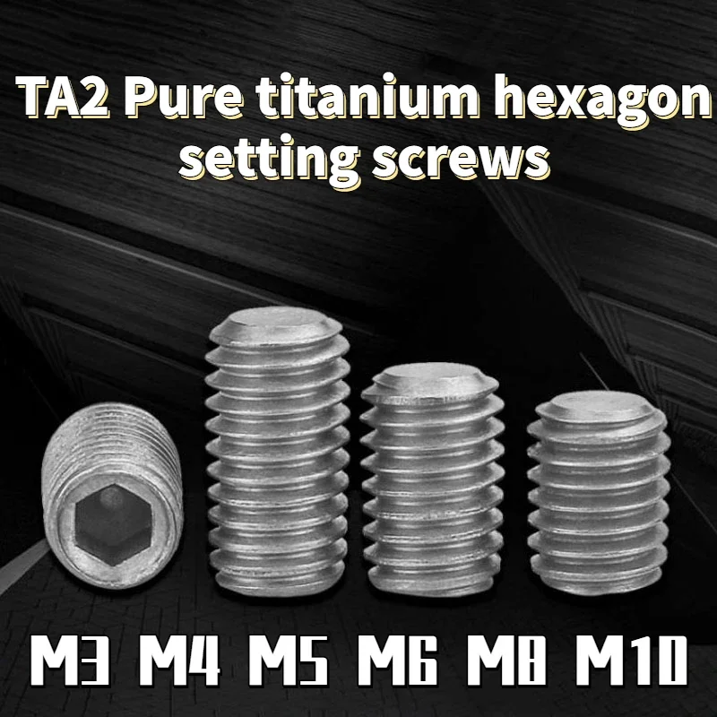 Parafusos de Titânio Puro do Hexágono Parafusos sem Cabeça Extremidade Côncava m2 m3 m4 m5 m6 m8 M10 10 Peças 20 Peças