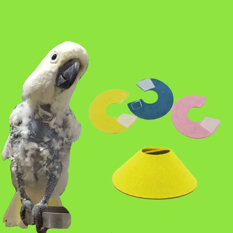 Pet-Bird-Collar-for-Plucking-Parrot-Anti-Bite-Recovery-Collar ...