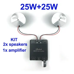 High - Power Full Range Portable Vibration Speaker with Resonant Bass (2 speakers 1 amp)