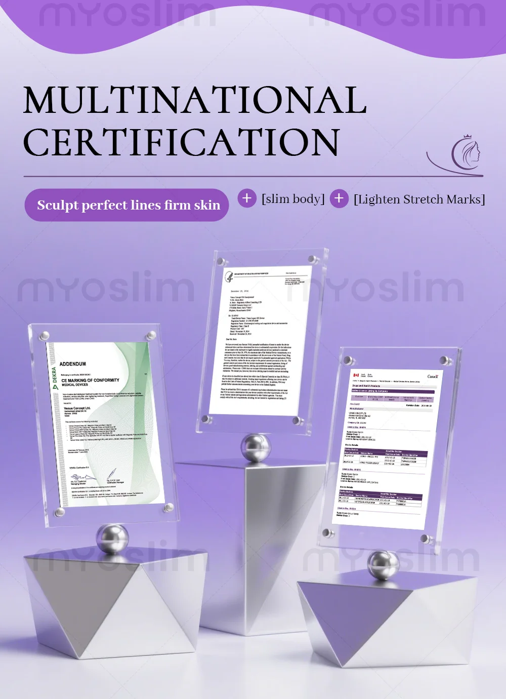Actimel Venus Hautstraffung Legacy Vakuum-Schlankheitsausrüstung, Cellulite-Entfernung, Hautstraffung, SPA-Gerät für den Salon – Detail 18