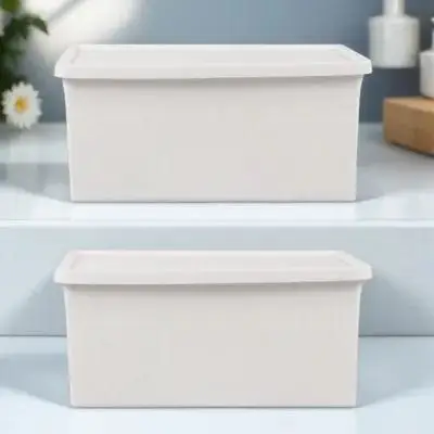 2Pcs 플라스틱 잡화 보관 상자 데스크탑 주최자 침실 기숙사 용 다목적 가정용 보관 케이스 플라스틱 잡화 상자