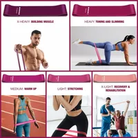 Resistance Bands Set Bandas Elasticas Fitness Gym Equipment for Home Exercise Agility Training Bodybuilding Bar CrossFit Yoga - Image 4