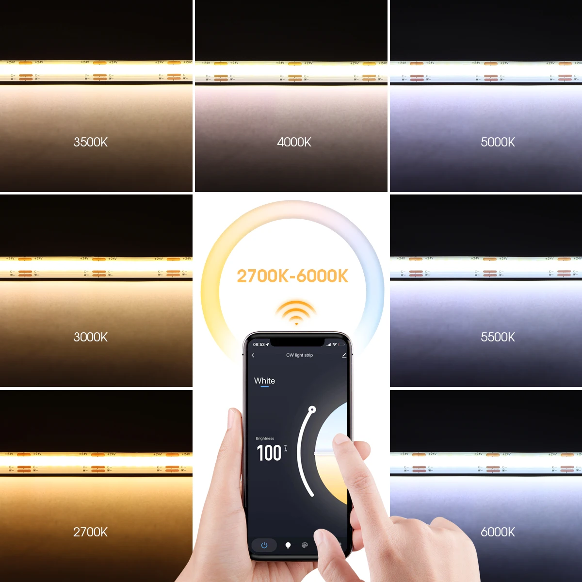 WiFi 듀얼 화이트 COB CCT LED 스트립 라이트 24V 3 색 변경 램프 테이프 디 밍이 가능한 리본 Tuya Smart Life Alexa Google 홈으로 작동