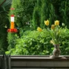 Hummingbird Water Feeder Hanging Honey Water Bird Feeder Anti-ants Leakproof Easy To Clean Outdoor Garden Decoration 6