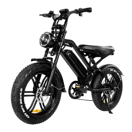 Ebike V20 1000W 48V20AH Back Seat Fat Tire Electric Bike Beach Cruiser Off-Road Adult Mountain