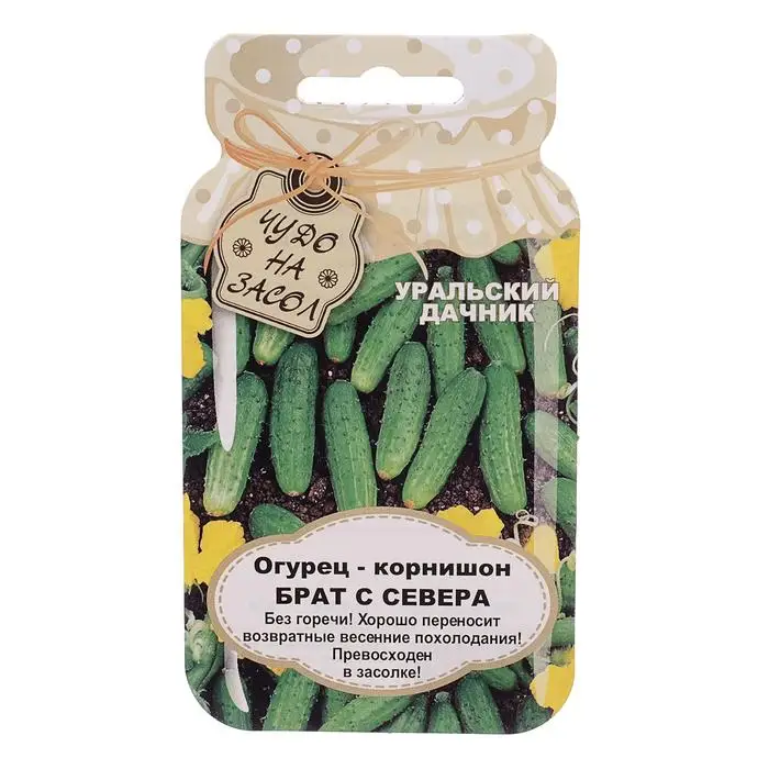 Семена Огурцы Уральский Дачник Купить