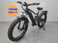 STLF DZ WJW vélo électrique avancé gros vélo de montagne pas cher 26 pouces gros pneu Ebike vélo électrique usine 2