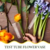 5 Pcs Test Tube Vase Convenient Glass Tubes Decorate Water for Flowers Desk Planters 4