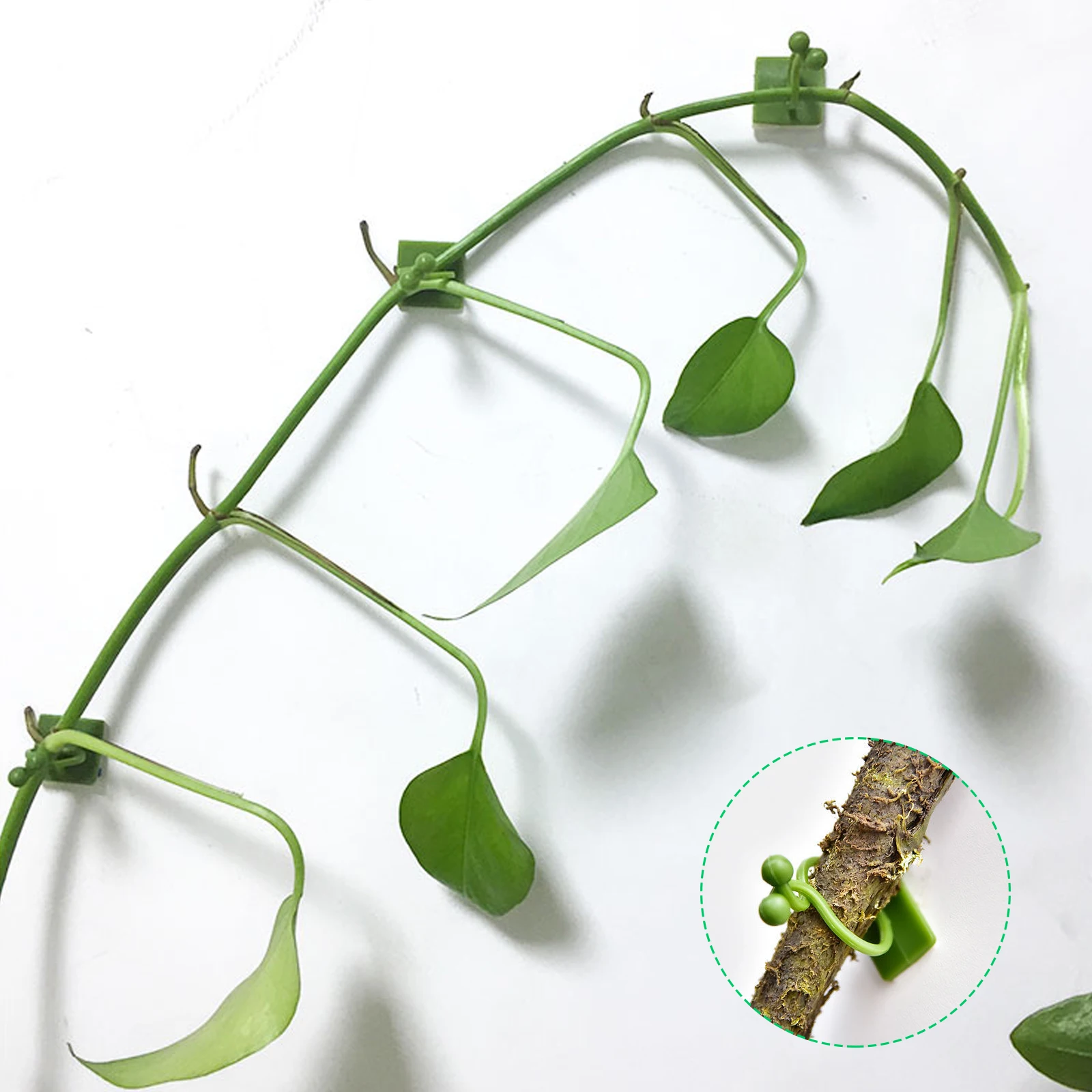Plant Climbing Fixture Clips 10-100Pcs Plant Vine Climbing Wall Fixer Self Adhesive Hook Vines Holder