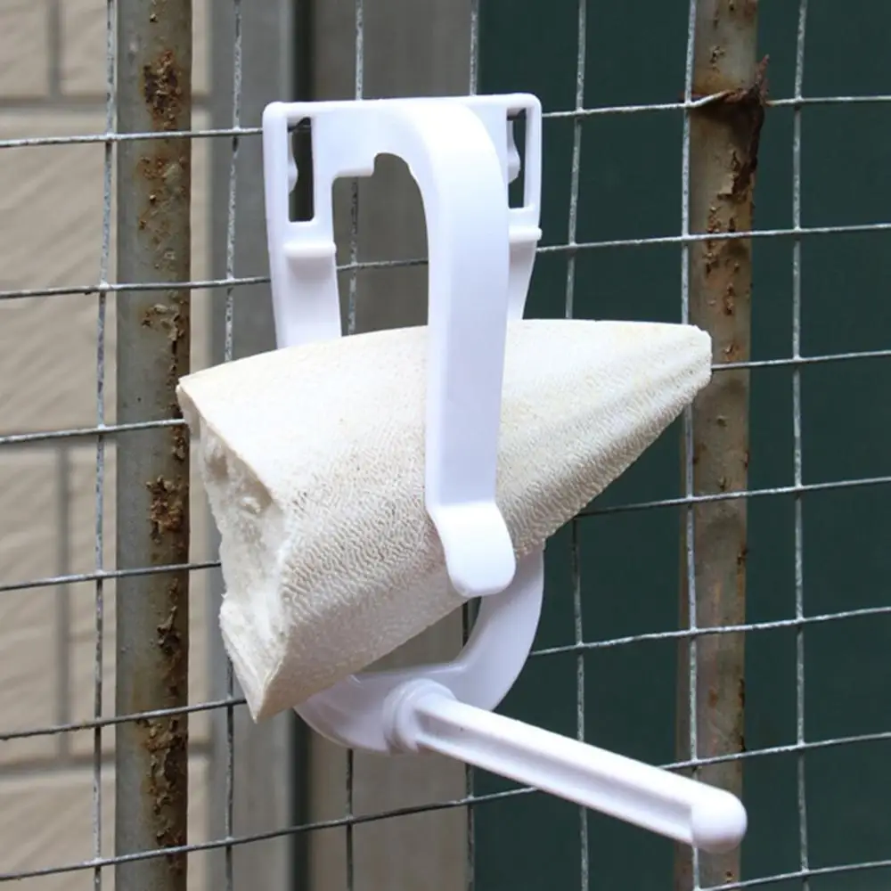 Hamster Parakeet Vegetable Small Animals Plastic Fruit Bird Food Holders Parrot Feeder Cuttlebone Clip Feeding Clamp bird feeder parrot feeder bird cuttlebone holder