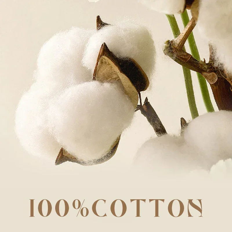 New High-end Jacquard Summer Quilt Cotton Fabric Soya Fibre Filling Thin Comforter Soft Skin Fiendly Summer Blanket summer quilt summer quilt set bed comforter
