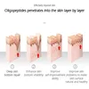 Oligopeptide Repairing Face Serum Facial Anti-Wrinkle Anti-Aging Firming Whitening Acne Treatment Lift Korean Skin Care Products 3