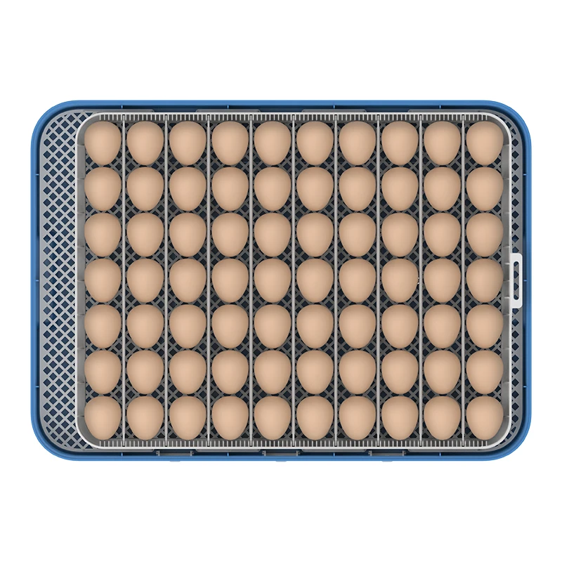 فقاسة بيض أوتوماتيكية 70 بيضة | متجر الجيل الأخضر