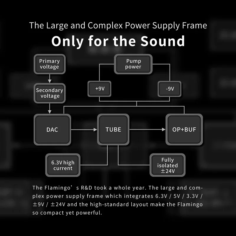 AUNE FLAMINGO Lossless Digital Audio Decoder MUSIC Headphone Amplifier Ear Amp HIFI DSD Bluetooth DAC Fever Tube Bile Machine