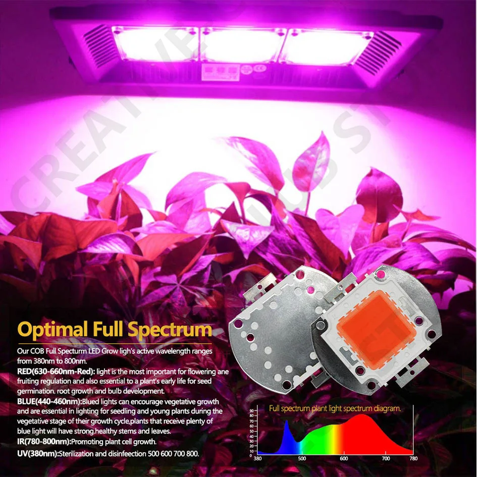 12V 30V LED Pflanze Wachsen Licht High Power LED Chip Volle Spektrum Wachsen 380-840NM 10W 20W 30W 50W 100W Für Licht Pflanze Lampe Perle DIY – Detail 10