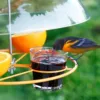Bird Feeder Anti-Squirrel Bird Feeders Protective Cover, Dome Protective Dome, Rain Protective Cover For Hanging Bird Feeders 5